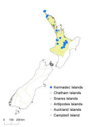 Christella dentata distribution map based on databased records at AK, CHR and WELT. 
 Image: K. Boardman © Landcare Research 2022 CC BY 3.0 NZ